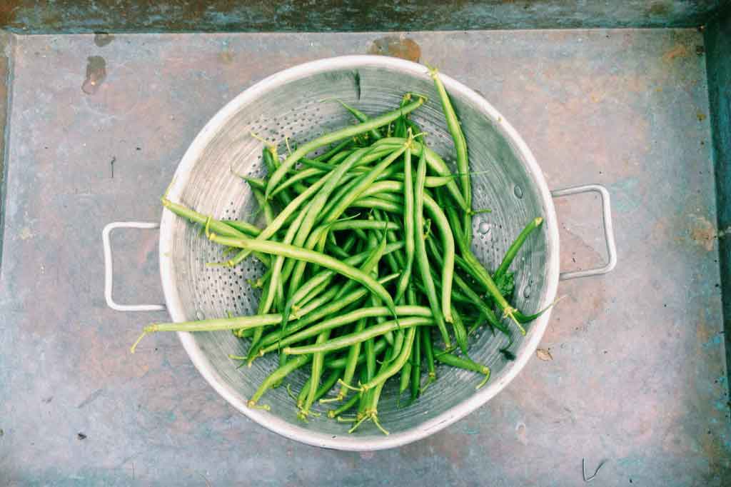 Oily fish and fresh beans may be linked to a later menopause