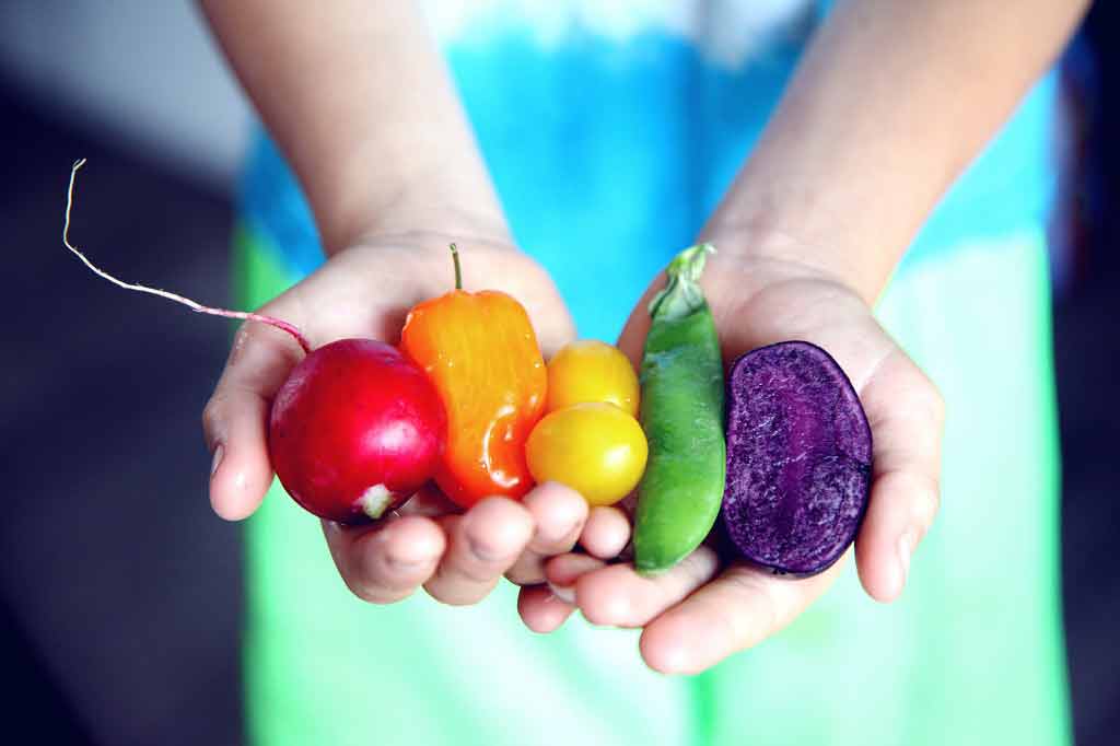 “Children can learn to eat new vegetables if they are introduced regularly before the age of two,” BBC News reports. A new study suggests that the key is to introduce them 'early and often'…