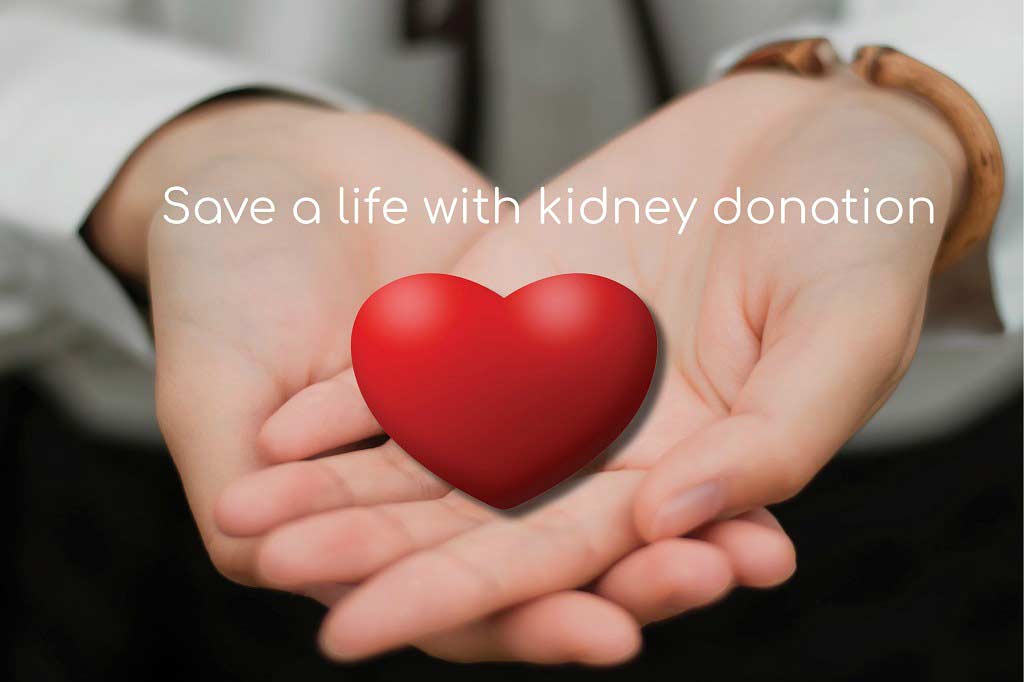 Public urged to donate more kidneys