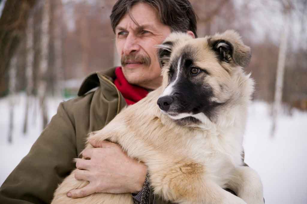 Owning a dog may make older adults fitter
